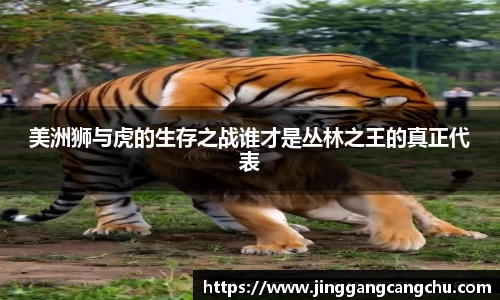 美洲狮与虎的生存之战谁才是丛林之王的真正代表